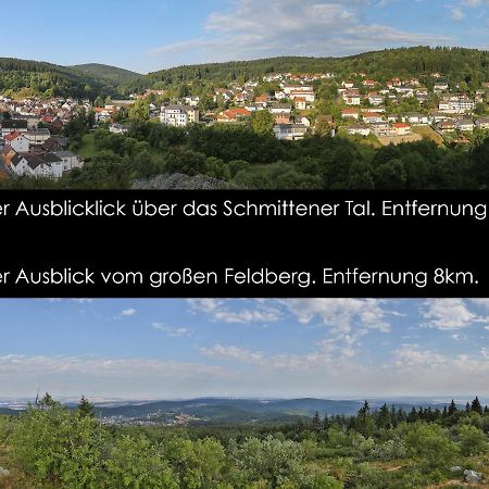 Taunusblick-Meissner Schmitten المظهر الخارجي الصورة